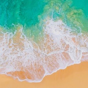 Meet your Posher, Lydia